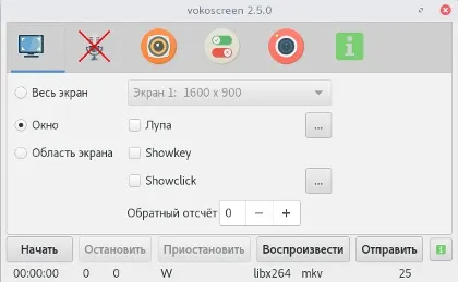 Як і в чому записати скрінкасти (скрінкасти) Як і в чому записати скрінкасти