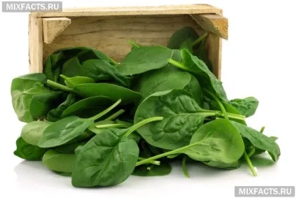 Які продукти покращують пам'ять і роботу мозку (покращують) Які продукти покращують пам'ять і роботу мозку