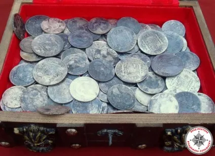 Як шукати скарби в лісі