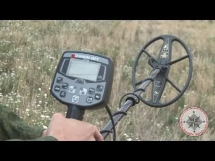 Як шукати скарби в лісі