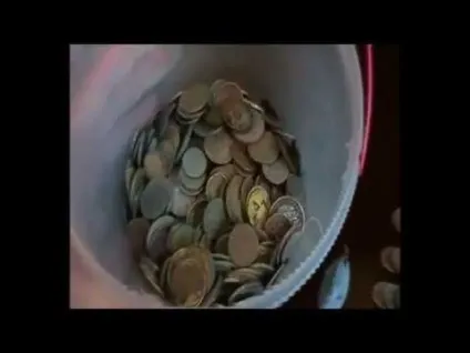 Як шукати скарби в лісі