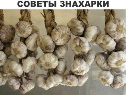 Як позбутися від аденоїдів без операції, школа краси (антибіотик дуже пристойний) Як позбутися від аденоїдів без операції, школа краси