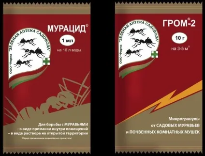 Як позбутися від мурашок в городі огляд способів і засобів (способів) Як позбутися від мурашок в городі огляд способів і засобів