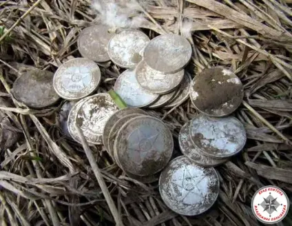 Як шукати скарби в лісі