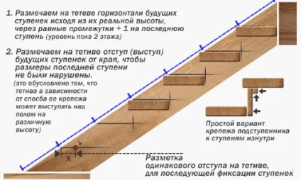 Як кріпити щаблі дерев'яних сходів до тятиві і до косоуру (кріпити) Як кріпити щаблі дерев'яних сходів до тятиві і до косоуру