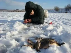 Як знайти стоянку риби взимку (місця) Як знайти стоянку риби взимку