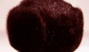 Як оновити хутро з норки (одяг) Як оновити хутро з норки