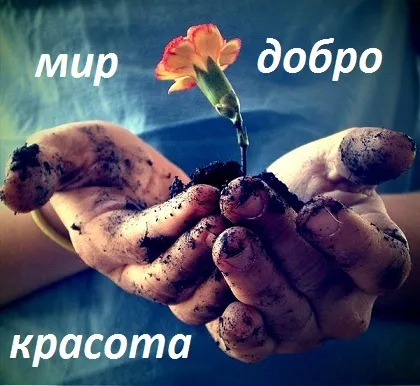 Як навчити дитину збирати пазли з чого почати і як, блог Тетяни Саксон (пазли) Як навчити дитину збирати пазли з чого почати і як, блог Тетяни Саксон