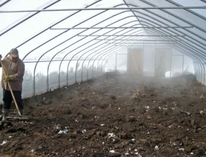 Як знезаразити землю в теплиці з полікарбонату навесні, дезінфекція восени, знезараження грунту (знезаразити) Як знезаразити землю в теплиці з полікарбонату навесні, дезінфекція восени, знезараження грунту