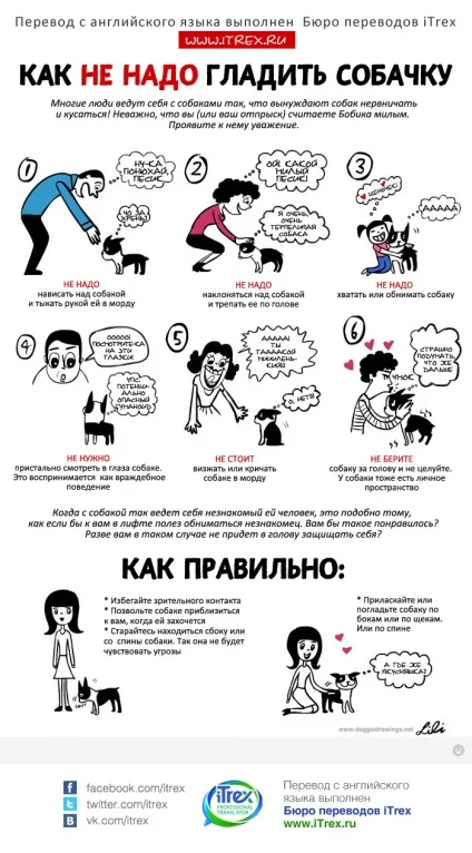 Як не треба прасувати собачку