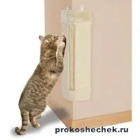 Як відучити кота точити кігті об меблі і шпалери (шпалери) Як відучити кота точити кігті об меблі і шпалери