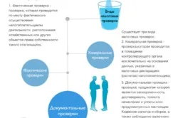 Як здійснюється податкова перевірка ип (перевірка) Як здійснюється податкова перевірка ип