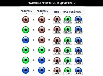 Якого кольору очі визначаємо характер людини по його кольору очей (око) Якого кольору очі визначаємо характер людини по його кольором очей