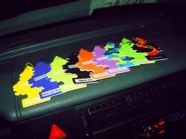 Який освіжувач повітря краще в автомобілі (краще) Який освіжувач повітря краще в автомобілі