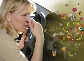 Який освіжувач повітря краще в автомобілі (краще) Який освіжувач повітря краще в автомобілі