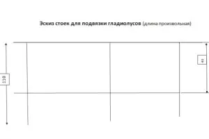 Як підв'язувати гладіолуси при вирощуванні на грядці, аромати і квіти для здоров'я-краси (цибулинні квіти) Як підв'язувати гладіолуси при вирощуванні на грядці, аромати і квіти для здоров'я-краси