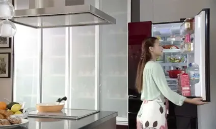 Який холодильник краще вибрати для будинку відео (який холодильник краще вибрати для будинку) Який холодильник краще вибрати для будинку відео
