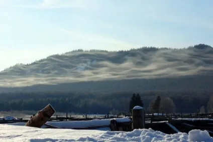 Як переїхати жити в село (жити) Як переїхати жити в село