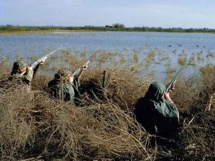 Як підстрелити качку