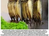 Як правильно можна обробити курку на філе, чоловічий кулінарний сайт - кращі рецепти з фото (рада дня) Як правильно можна обробити курку на філе, чоловічий кулінарний сайт - кращі рецепти з фото