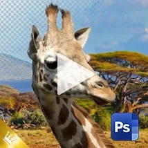 Як поміняти фон на фото в adobe photoshop (малювання) Як поміняти фон на фото в adobe photoshop