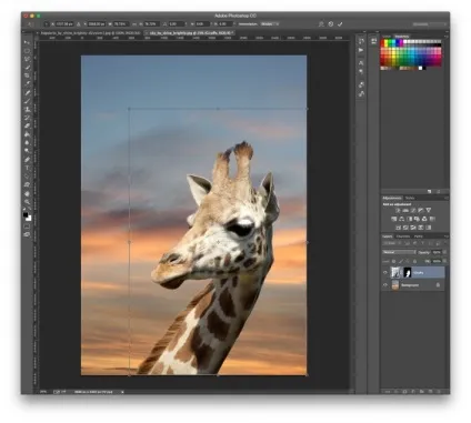 Як поміняти фон на фото в adobe photoshop (cs5) Як поміняти фон на фото в adobe photoshop