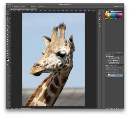 Як поміняти фон на фото в adobe photoshop (уроки ілюстратор) Як поміняти фон на фото в adobe photoshop