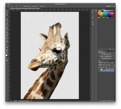 Як поміняти фон на фото в adobe photoshop (фото) Як поміняти фон на фото в adobe photoshop