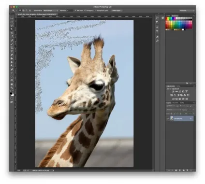 Як поміняти фон на фото в adobe photoshop (cs6) Як поміняти фон на фото в adobe photoshop