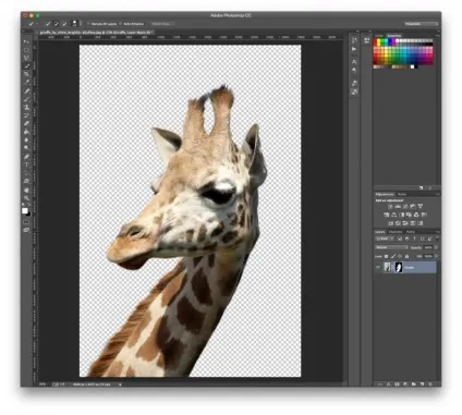 Як поміняти фон на фото в adobe photoshop (adobe illustrator) Як поміняти фон на фото в adobe photoshop