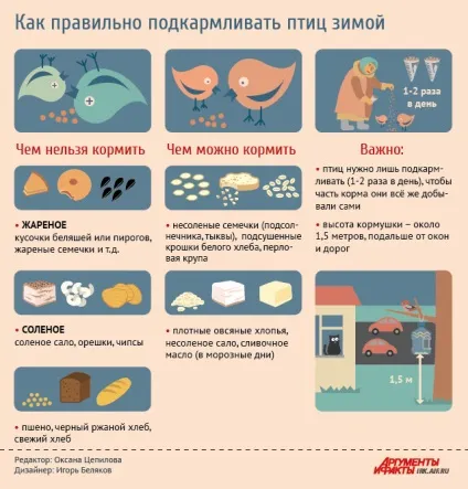 Як правильно годувати птахів взимку (годувати) Як правильно годувати птахів взимку