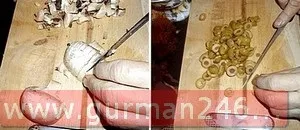 Як приготувати курячі гомілки, куряча гомілка в листковому тісті (гомілки) Як приготувати курячі гомілки, куряча гомілка в листковому тісті