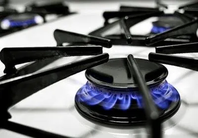 Як правильно вибрати газову плиту для будинку (плиту) Як правильно вибрати газову плиту для будинку