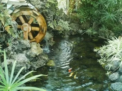 Як правильно доглядати за штучною водоймою, біля будинку