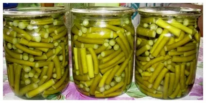 Як приготувати часникові стрілки на зиму - кращі рецепти (часникові) Як приготувати часникові стрілки на зиму - кращі рецепти