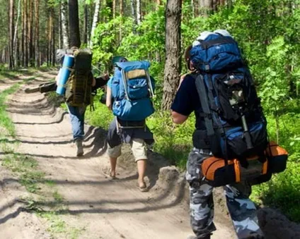Як правильно вибирати чоловічі спортивні штани (спортивні) Як правильно вибирати чоловічі спортивні штани