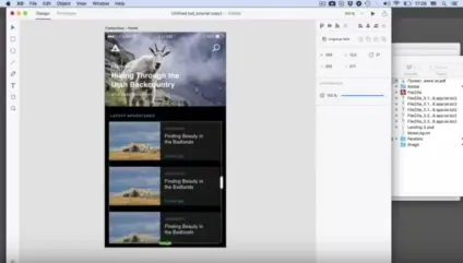 Як працювати в adobe experience design, данил Фімушкін