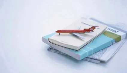 Як подорожувати з кішкою на машині, поїзді, літаку (кішкою) Як подорожувати з кішкою на машині, поїзді, літаку