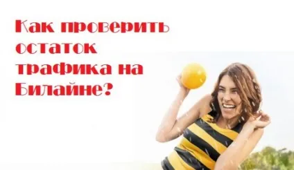 Як перевірити залишок трафіку на Білайні - на телефоні або модемі (інструкція) (як перевірити залишок трафіку на Білайн) Як перевірити залишок трафіку на Білайні - на телефоні або модемі (інструкція)