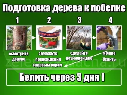 Як розвести вапно для побілки дерев, заможна село (дерева можна білити) Як розвести вапно для побілки дерев, заможна село