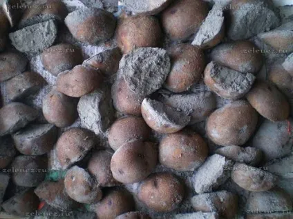 Як різати насіннєву картоплю (картопля) Як різати насіннєву картоплю