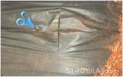 Як самостійно організувати штучний ландшафт в своєму саду ділянку, сад, город, дача - (ділянка) Як самостійно організувати штучний ландшафт в своєму саду ділянку, сад, город, дача -
