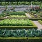 Грядки на дачі, оформляємо красиво своїми руками, фото