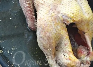 Гусь в духовці з яблуками покроковий рецепт з фото, океан дрібниць (духовці) Гусь в духовці з яблуками покроковий рецепт з фото, океан дрібниць