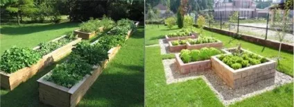Грядки на дачі, оформляємо красиво своїми руками, фото
