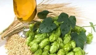 Як зробити пивні дріжджі (прибрати) Як зробити пивні дріжджі