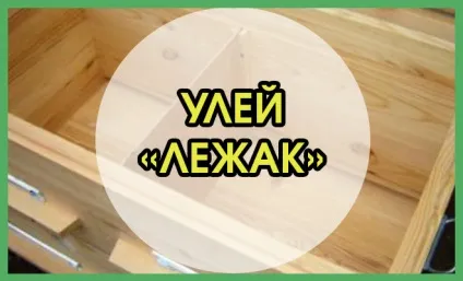 Як зробити вулик лежак самому (лежак) Як зробити вулик лежак самому