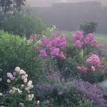 Як створити чудовий дикий сад 5 секретів модної ідеї 50 докладних фото (дикий) Як створити чудовий дикий сад 5 секретів модної ідеї 50 докладних фото