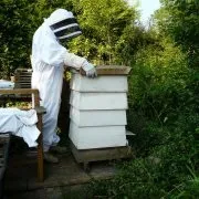 Як зробити воскопресс своїми руками огляд і відео (зробити воскопресс своїми) Як зробити воскопресс своїми руками огляд і відео