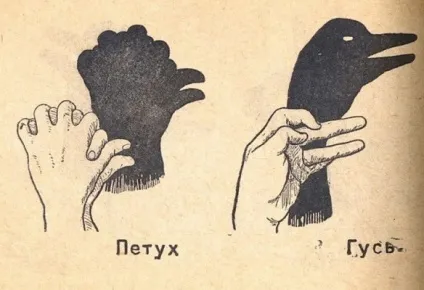 Як скласти пальці в тінь тваринного театр тіней на дому як зобразити собаку руками на тіні блоги